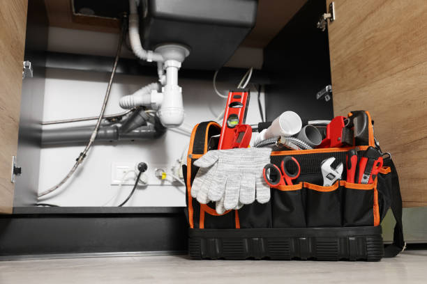 Best Residential Plumbing Services  in Palmetto, FL