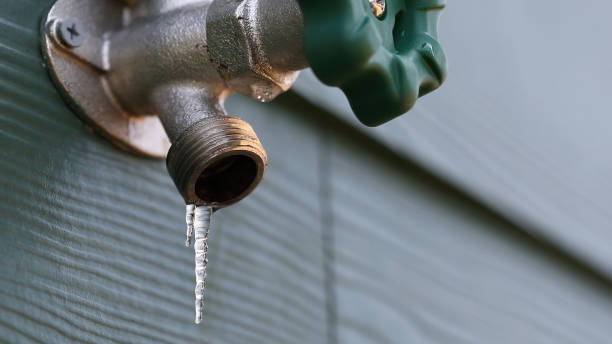 Best Septic Systems  in Palmetto, FL
