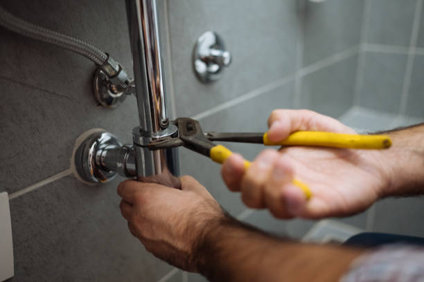 Best Local Plumber Services  in Palmetto, FL
